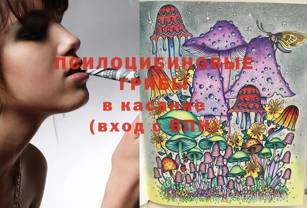дурь Новозыбков