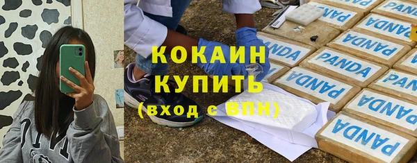PSILOCYBIN Михайлов