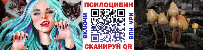 МЕГА ССЫЛКА  Сочи  Галлюциногенные грибы Psilocybe  купить наркоту 